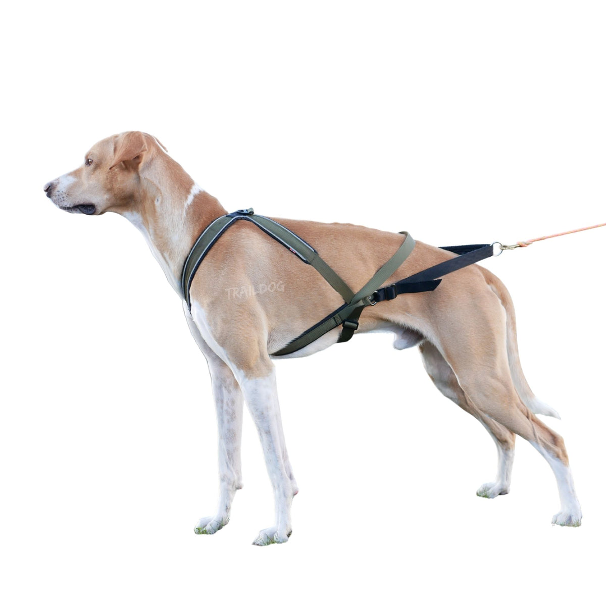 V.I.P dogwear Multisport Harness