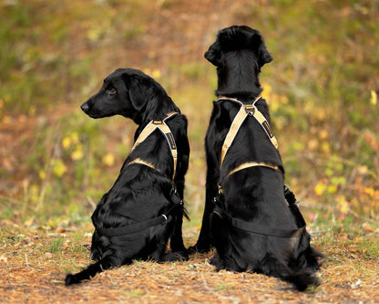V.I.P dogwear Multisport Harness