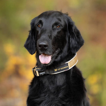 V.I.P. dogwear Walker Clips Collar