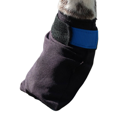 V.I.P. dogwear Finnmark Booties, 4 Stück