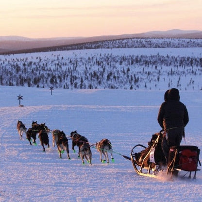 Axaeco Wire Front Line