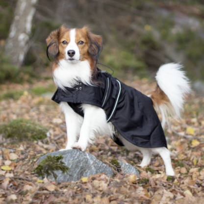 Back on Track Hunde-Netzmantel