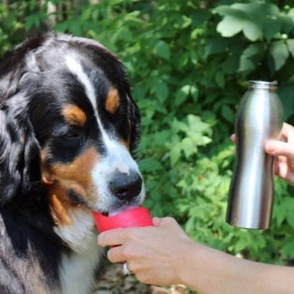 Kong H2O Stainless Steel Water Bottle 750 ml