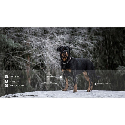 LovePaws Winter Edition Paw wax 40 ml