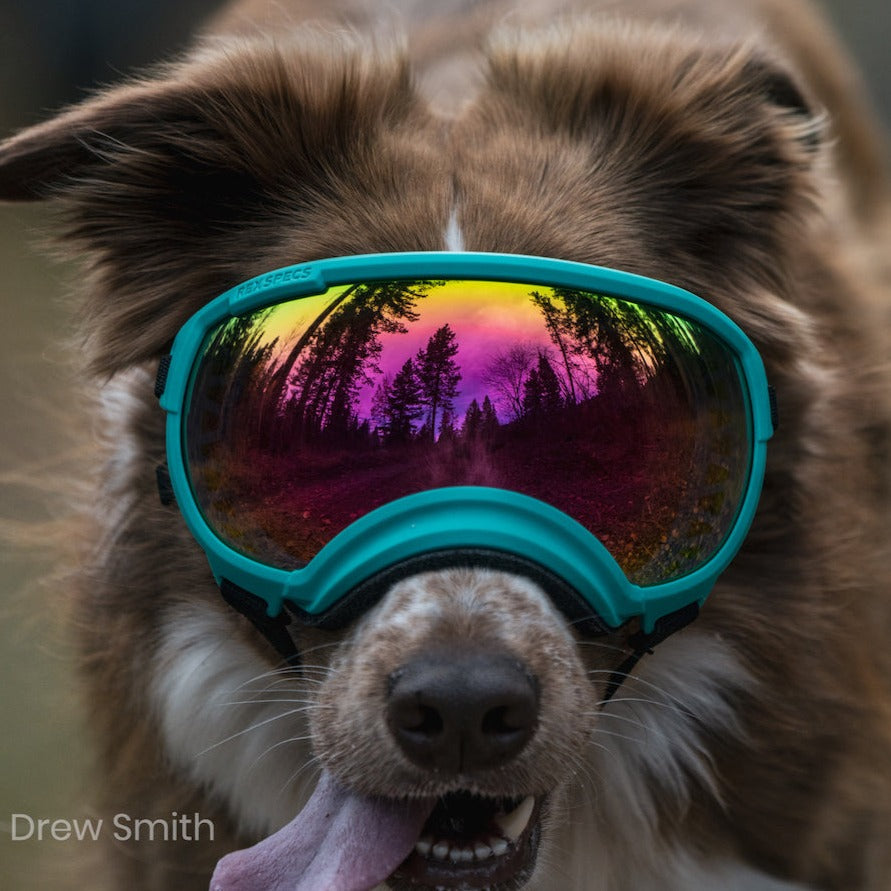 Rex Specs V2 Goggle