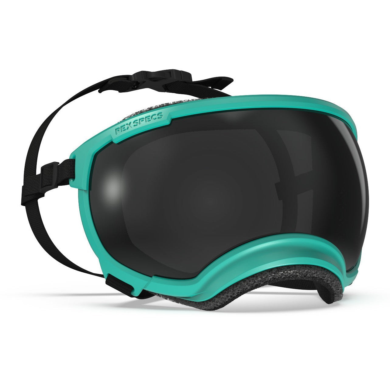 Rex Specs V2 Goggle