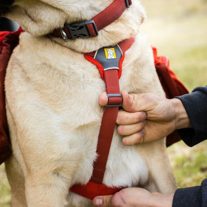 Ruffwear Palisades Dog Backpack OUTLET