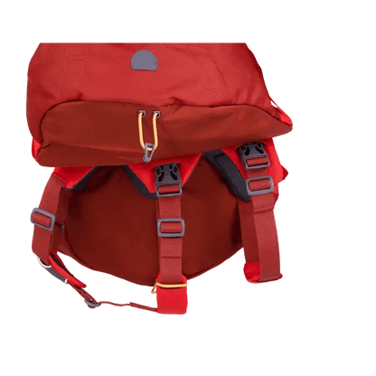 Ruffwear Palisades Dog Backpack OUTLET