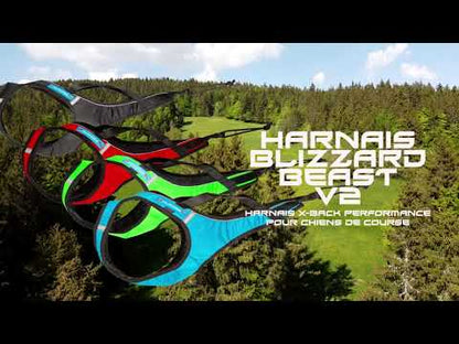 Inlandis Blizzard Beast Harness V2