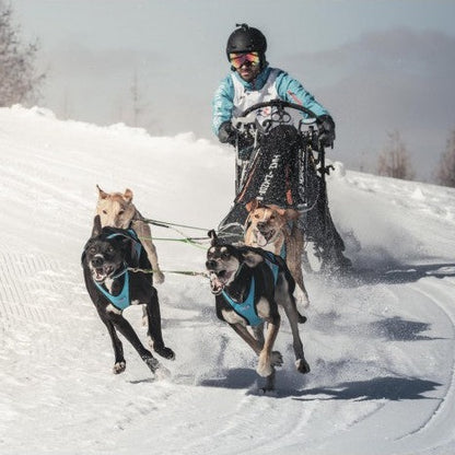 Inlandis Blizzard Beast Harness V2