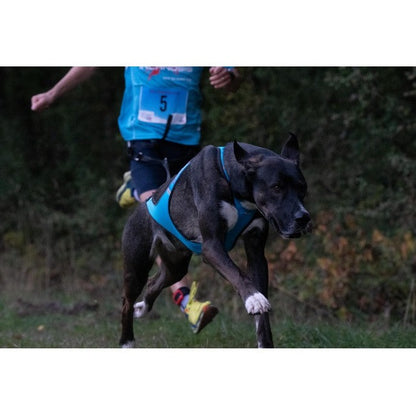 Inlandis Blizzard Beast Harness V2