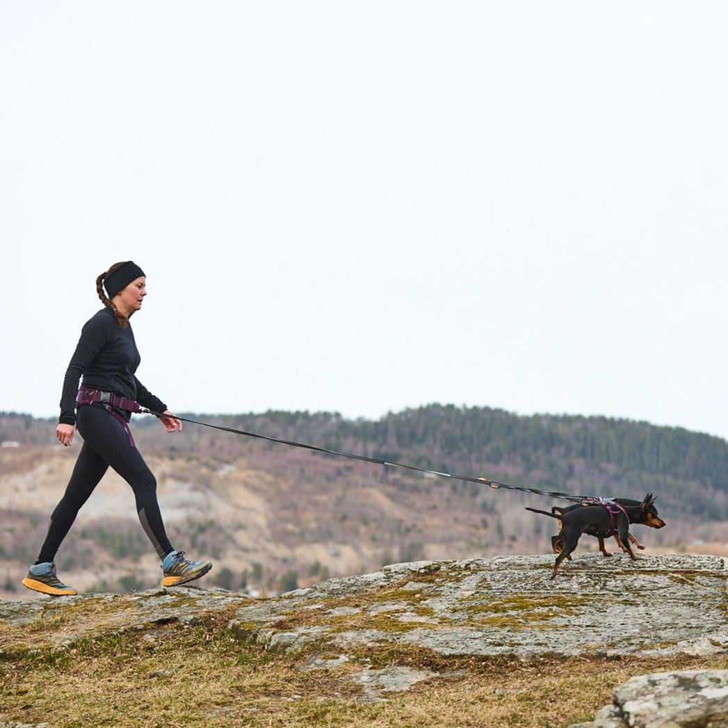 Non-stop dogwear Trekking Belt 2.0
